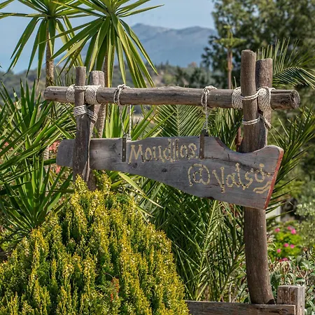 Moudilos 1 * 里科索翁